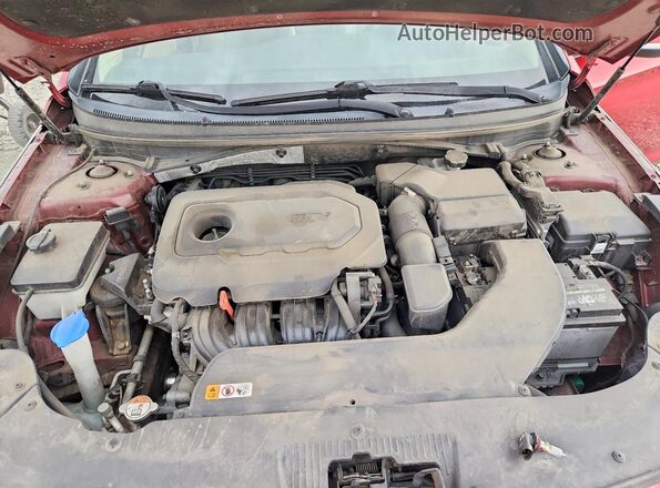 5NPE34AFXGH317336 2016 HYUNDAI SONATA Burgundy Вид задньої частини салону