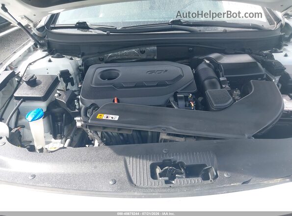 5NPE34AFXGH324254 2016 HYUNDAI SONATA White Вид ззаду