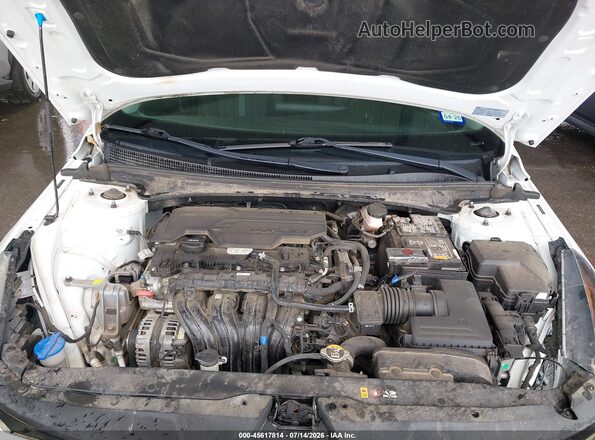 5NPLL4AG8MH047101 2021 HYUNDAI ELANTRA White უკანა ხედი