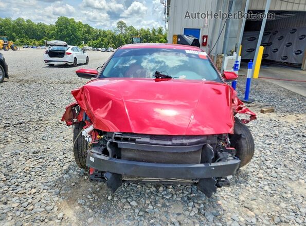 5NPLM4AG1PH103820 2023 HYUNDAI ELANTRA Red Widok z przodu
