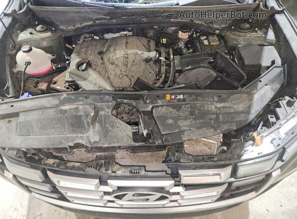 5NTJB4DEXSH130838 2025 HYUNDAI SANTA Green უკანა სალონის ხედი