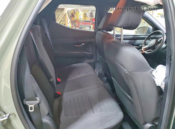 5NTJBDAE6PH040128 2023 HYUNDAI SANTA Green Vista de los asientos traseros