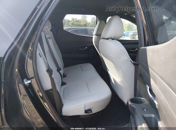 5NTJBDDEXSH127843 2025 HYUNDAI SANTA CRUZ Black VIN sticker view