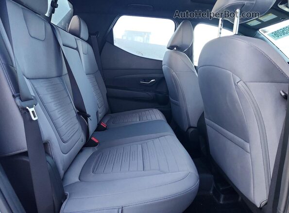 5NTJC4AE2RH091528 2024 HYUNDAI SANTA Blue Vista de los asientos traseros