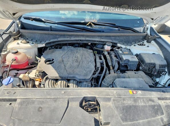 5NTJC4AE5RH086050 2024 HYUNDAI SANTA White Widok wnętrza z tyłu
