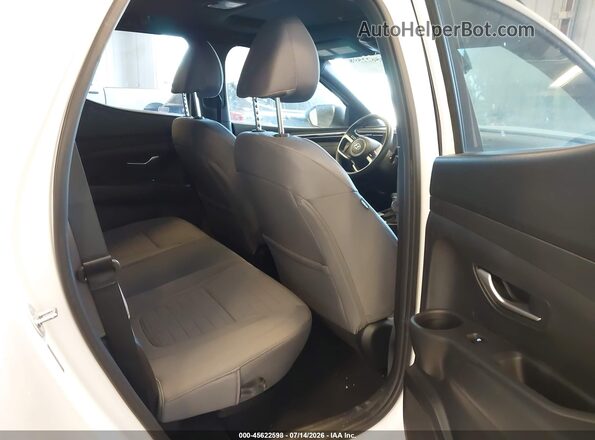 5NTJC4DE2RH114656 2024 HYUNDAI SANTA CRUZ White VIN կոդի պիտակի տեսք