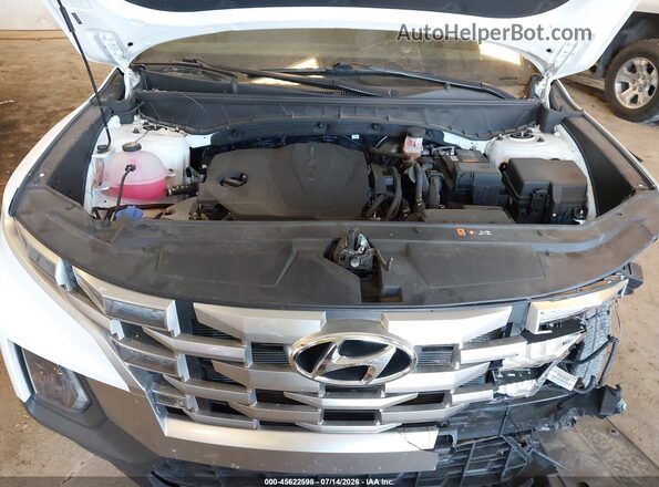 5NTJC4DE2RH114656 2024 HYUNDAI SANTA CRUZ White Հետևի տեսք