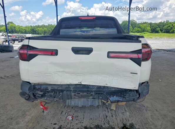 5NTJCDAE6PH075958 2023 HYUNDAI SANTA White Widok z tyłu