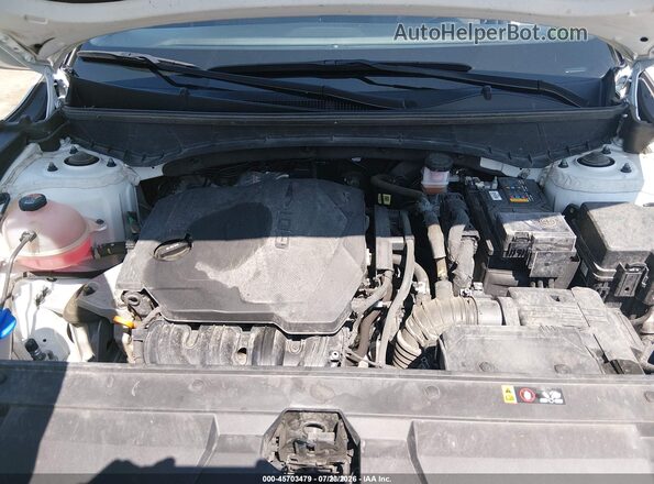 5NTJCDAE9RH084737 2024 HYUNDAI SANTA CRUZ White Հետևի տեսք