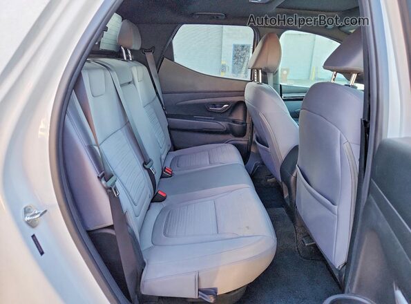 5NTJCDAEXPH063070 2023 HYUNDAI SANTA White Rear seats view