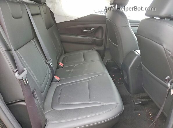 5NTJCDAF6RH075132 2024 HYUNDAI SANTA Black Rear seats view