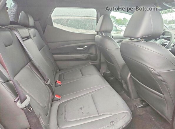 5NTJCDAF6RH091198 2024 HYUNDAI SANTA Черный Вид задней части салона