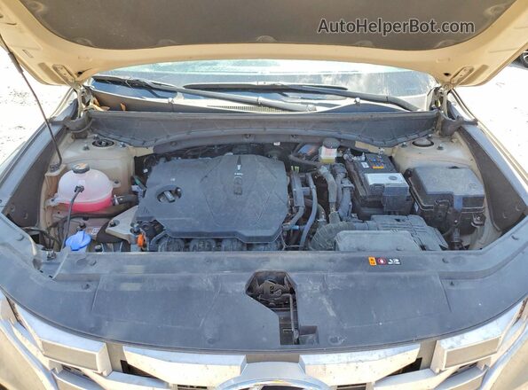 5NTJCDDE4RH110690 2024 HYUNDAI SANTA Желто-коричневый Вид задней части салона