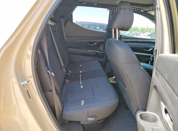 5NTJCDDE4RH110690 2024 HYUNDAI SANTA Желто-коричневый Вид задних сидений