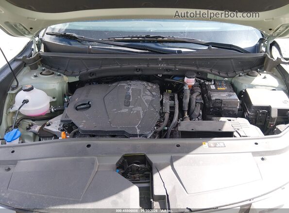 5NTJCDDE7RH115527 2024 HYUNDAI SANTA CRUZ Green Հետևի տեսք