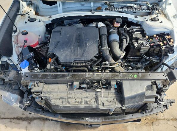 5NTJDDAF1RH082342 2024 HYUNDAI SANTA Белый Вид задней части салона