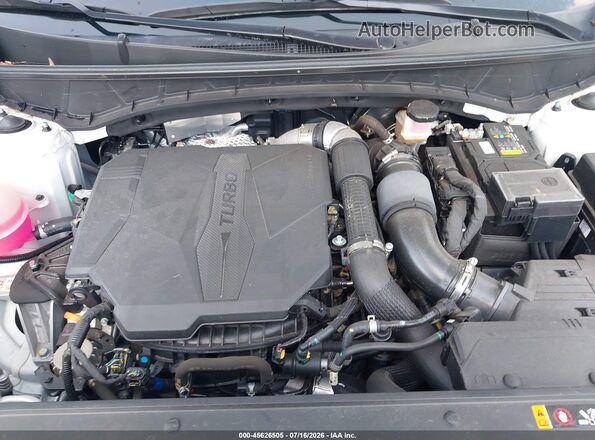 5NTJDDAF3PH047430 2023 HYUNDAI SANTA CRUZ Белый Вид сзади