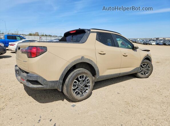 5NTJDDAF5PH063466 2023 HYUNDAI SANTA Tan Trasero derecho