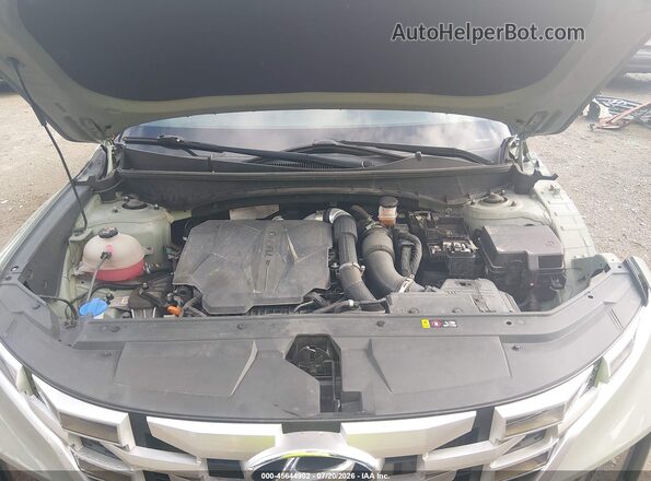 5NTJDDAF8PH044426 2023 HYUNDAI SANTA CRUZ Green Widok z tyłu