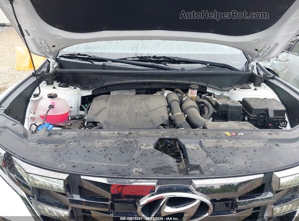 5NTJDDAF8RH088705 2024 HYUNDAI SANTA CRUZ White Vista trasera