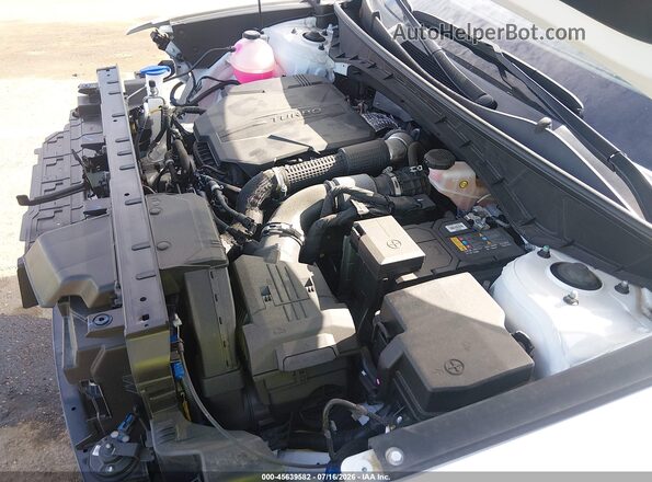 5NTJDDDF4RH119492 2024 HYUNDAI SANTA CRUZ White 