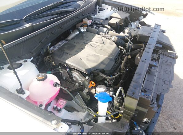 5NTJDDDF4RH119492 2024 HYUNDAI SANTA CRUZ White 