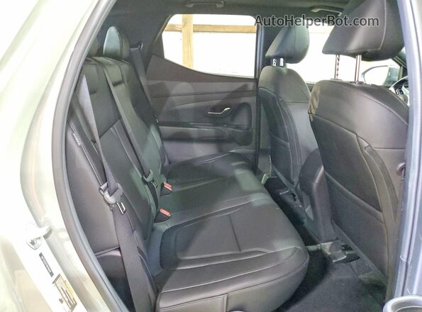 5NTJDDDF9RH104311 2024 HYUNDAI SANTA Green Vista de los asientos traseros
