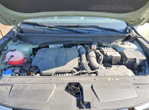 5NTJDDDF9RH104311 2024 HYUNDAI SANTA Green Vista interior trasera