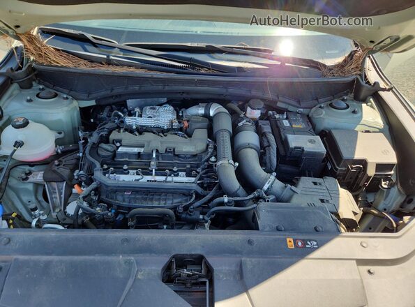 5NTJEDAF1PH053837 2023 HYUNDAI SANTA Green Вид задньої частини салону