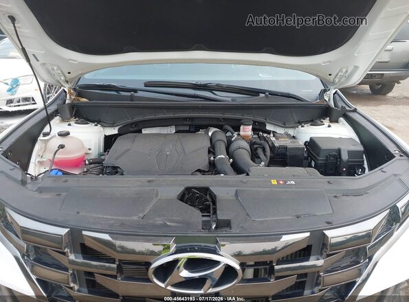 5NTJEDAF2NH004756 2022 HYUNDAI SANTA CRUZ Белый Вид сзади