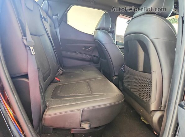 5NTJEDAF9PH046845 2023 HYUNDAI SANTA Black Հետևի նստատեղերի տեսք