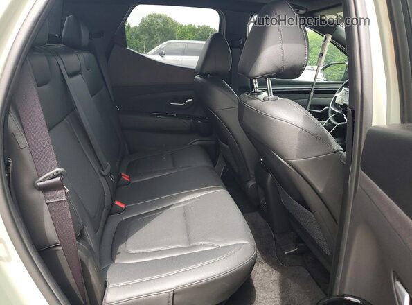 5NTJEDDF2RH125515 2024 HYUNDAI SANTA Green Rear seats view