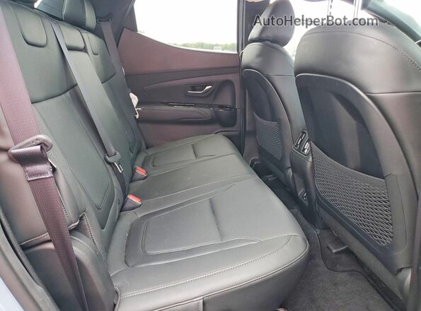 5NTJEDDF3RH107668 2024 HYUNDAI SANTA Gray უკანა სავარძლების ხედი