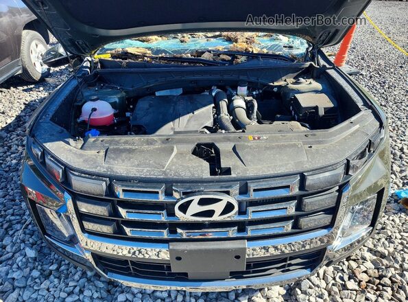 5NTJEDDF8SH130630 2025 HYUNDAI SANTA Зеленый Вид задней части салона