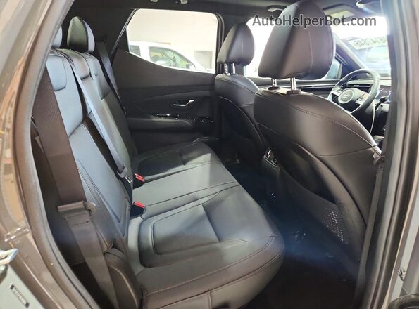5NTJEDDF9RH110896 2024 HYUNDAI SANTA Gray Rear seats view