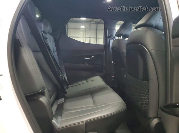 5NTJEDDFXSH146196 2025 HYUNDAI SANTA White Vista de los asientos traseros