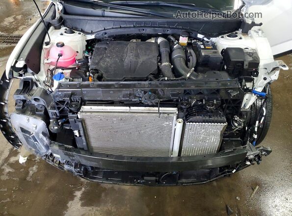 5NTJEDDFXSH146196 2025 HYUNDAI SANTA White Vista interior trasera
