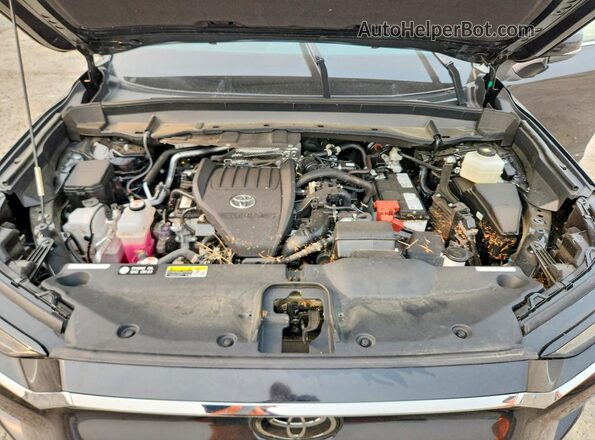 5TDAAAA5XSS025425 2025 TOYOTA GRAND Black Vista interior trasera
