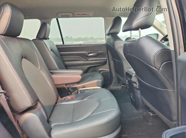 5TDAAAA5XSS025425 2025 TOYOTA GRAND Black Vista de los asientos traseros