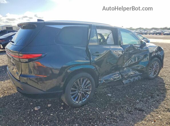 5TDAAAA62SS013794 2025 LEXUS TX Black Задня права чверть