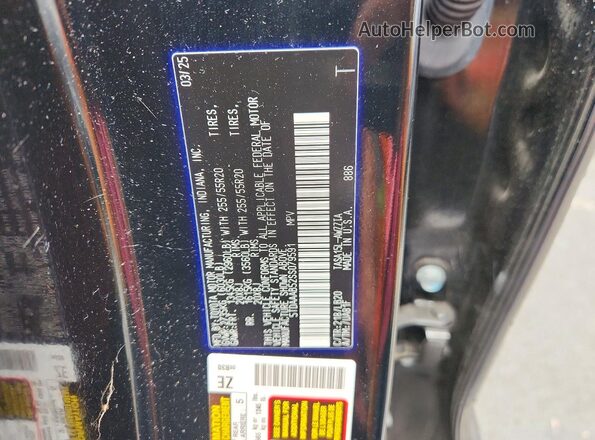 5TDAAAB52SS079591 2025 TOYOTA GRAND Black VIN sticker view