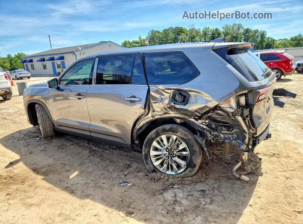 5TDAAAB56TS120824 2026 TOYOTA GRAND Gray Задня ліва чверть
