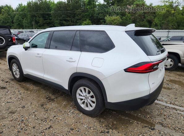 5TDAAAB59RS059610 2024 TOYOTA GRAND White Tył lewy