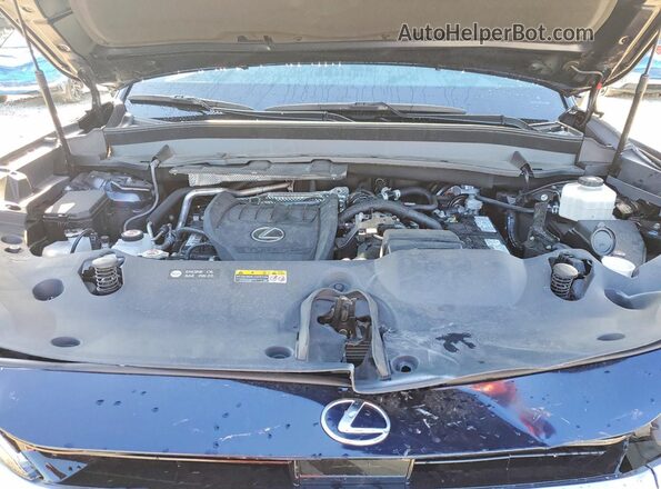 5TDAAAB61SS021108 2025 LEXUS TX Blue Շարժիչի բաժամունքի տեսք