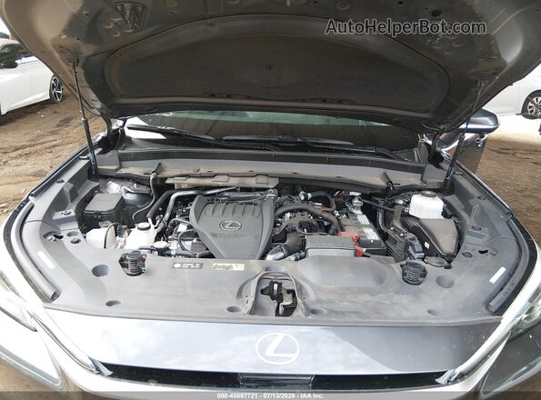 5TDAAAB61SS021982 2025 LEXUS TX 350 Gray უკანა ხედი
