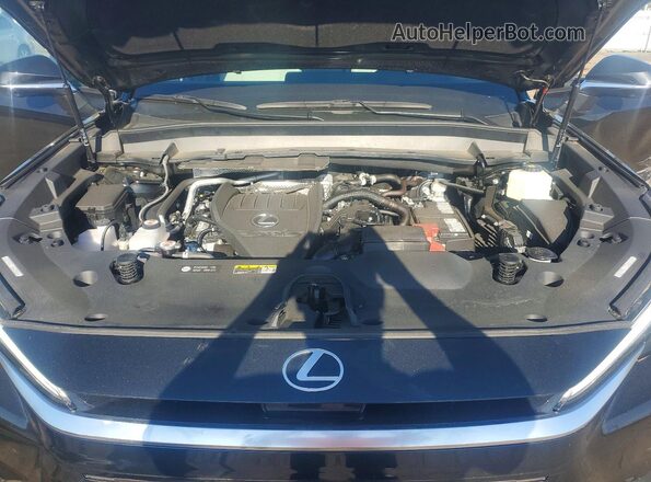 5TDAAAB63SS025807 2025 LEXUS TX Black Vista del compartimento del motor