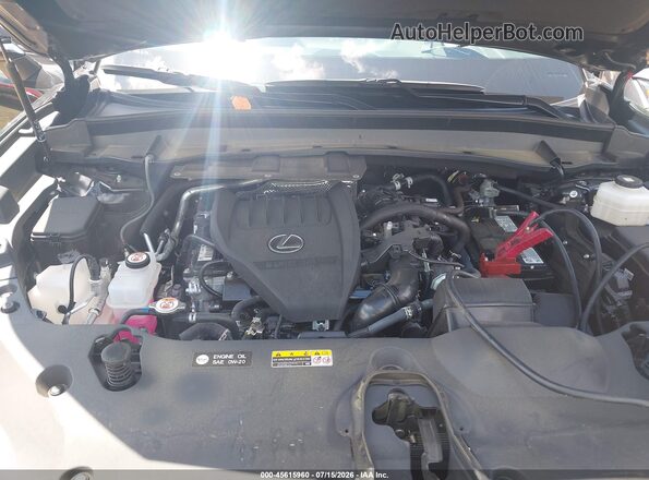 5TDAAAB63SS041201 2025 LEXUS TX 350 Black Вид ззаду