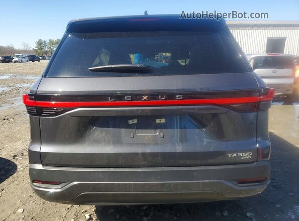 5TDAAAB65RS019971 2024 LEXUS TX Gray Rear view