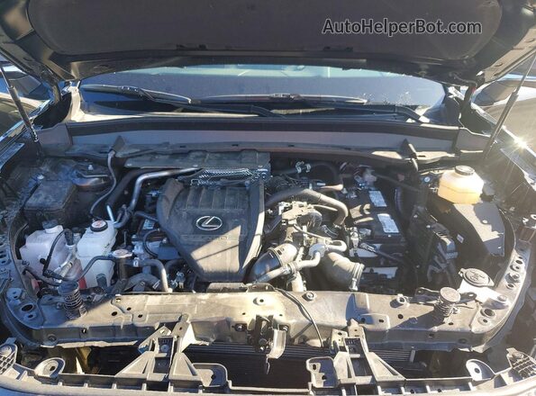 5TDAAAB65SS044424 2025 LEXUS TX Black Vista del compartimento del motor