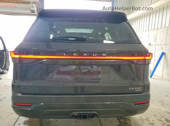 5TDAAAB65SS045508 2025 LEXUS TX Black უკანა ხედი